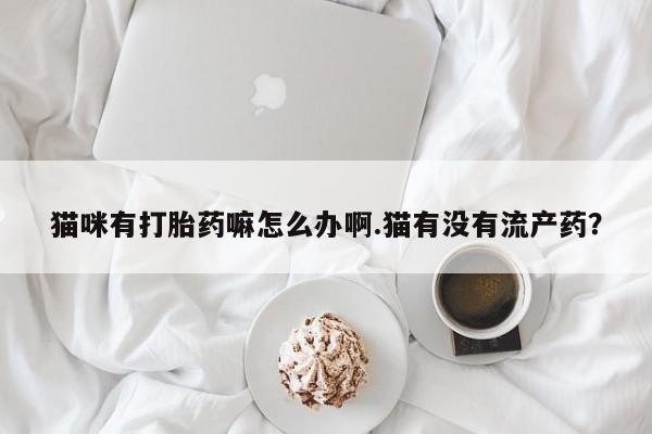 药流药微信猫咪有打胎药嘛怎么办啊.猫有没有流产药？