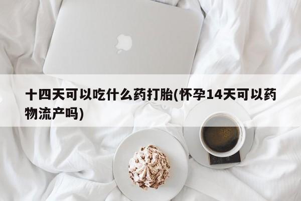 药流药微信十四天可以吃什么药打胎(怀孕14天可以药物流产吗)